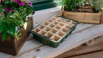 Düngestäbchen