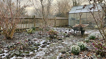 Garten im februar - Blomea.at