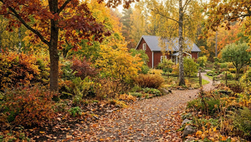 Garten im herbst - Blomea.at