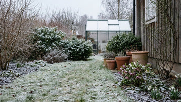 Garten im januar - Blomea.at