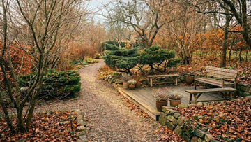 Garten im november - Blomea.at