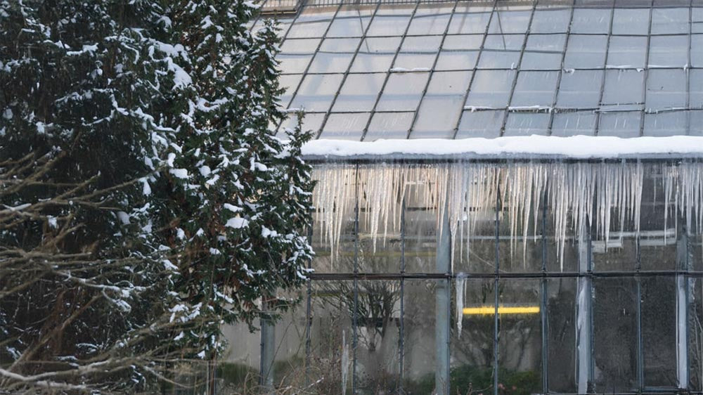 Außerhalb der Saison - Blomea.at