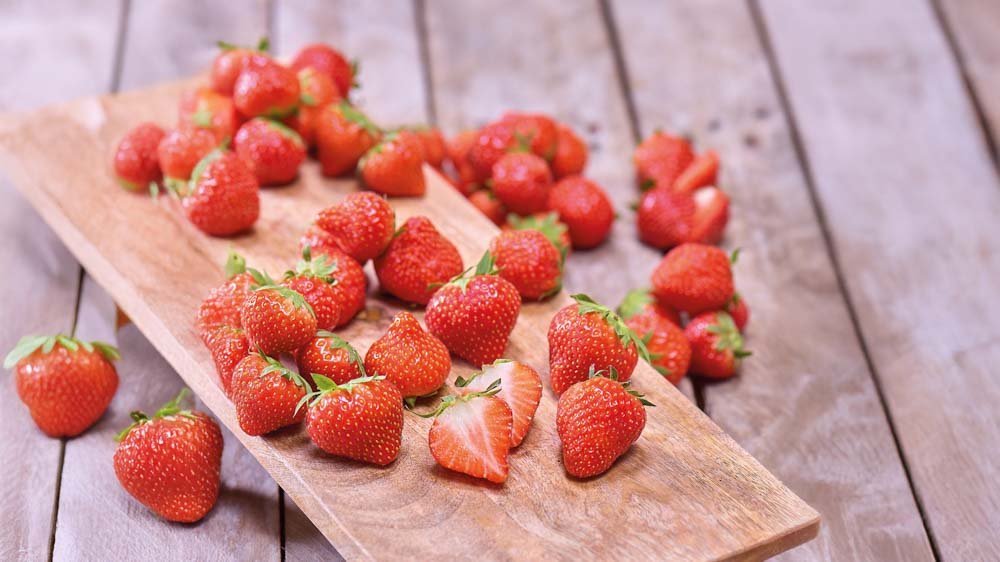 Der essbare Garten - Blomea.at