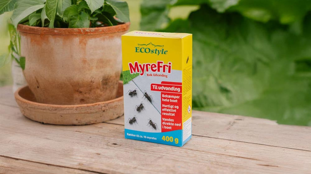 ECOstyle - Blomea.at