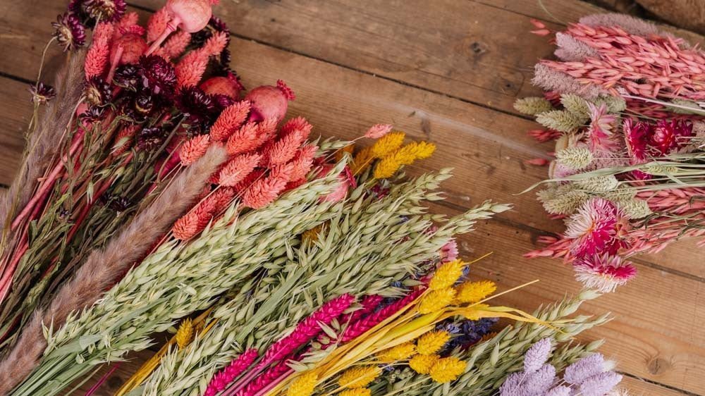 Ewige Blumen - Blomea.at