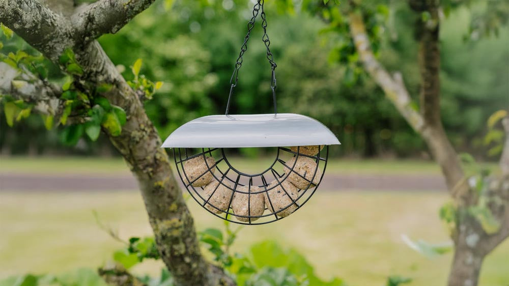 Futterautomaten - Blomea.at