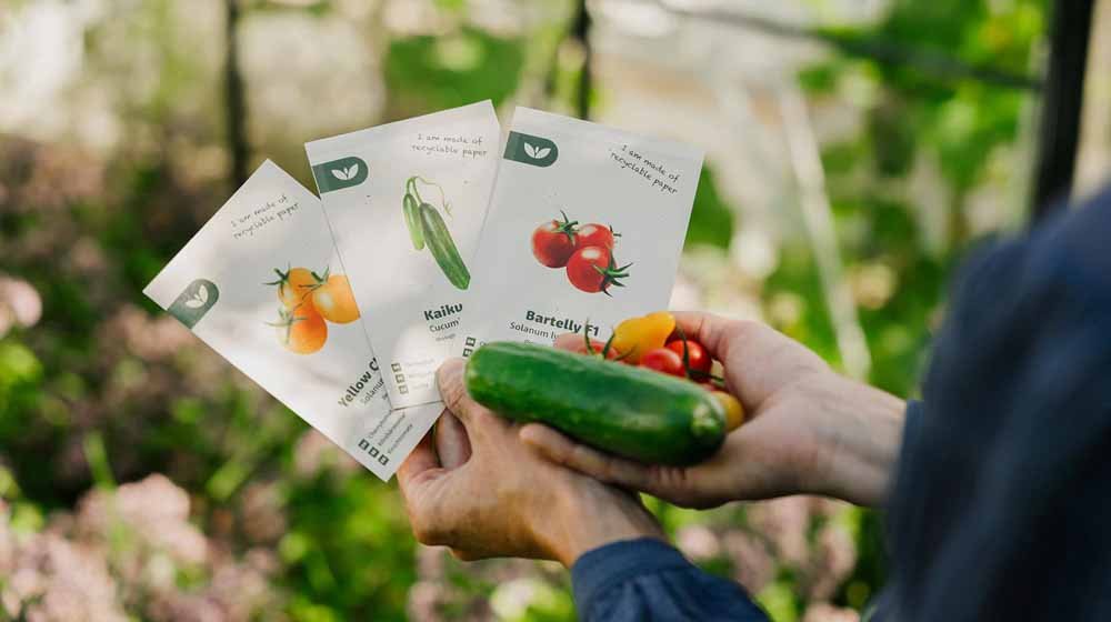 Gemüsesamen - Blomea.at