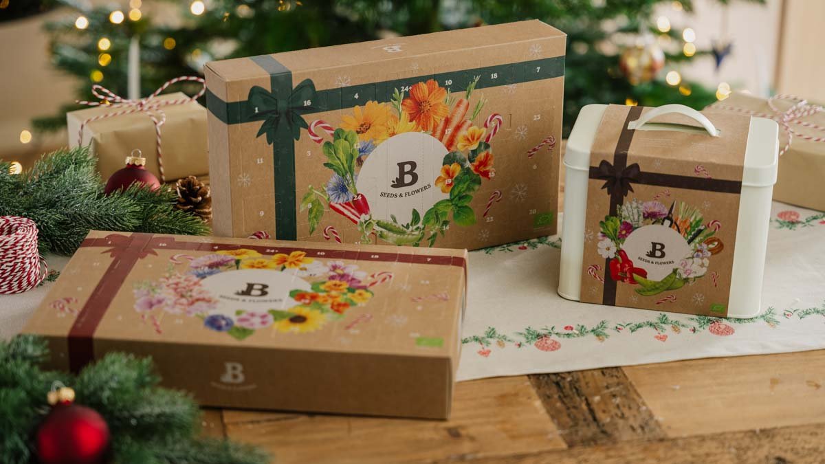 Saatgut Adventskalender