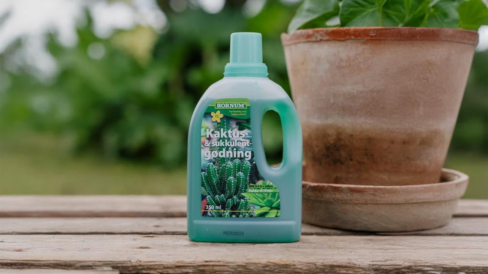 Kakteendünger - Blomea.at