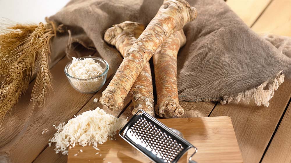 Meerrettiche - Blomea.at