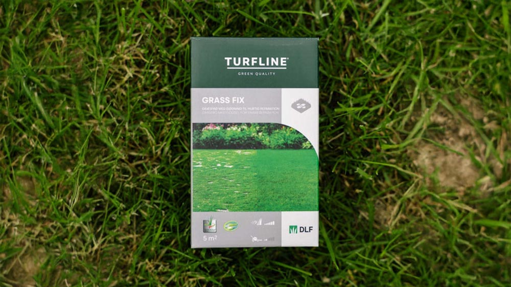 Nachsaat - Blomea.at