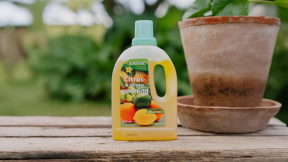 Oliven dünger - Blomea.at