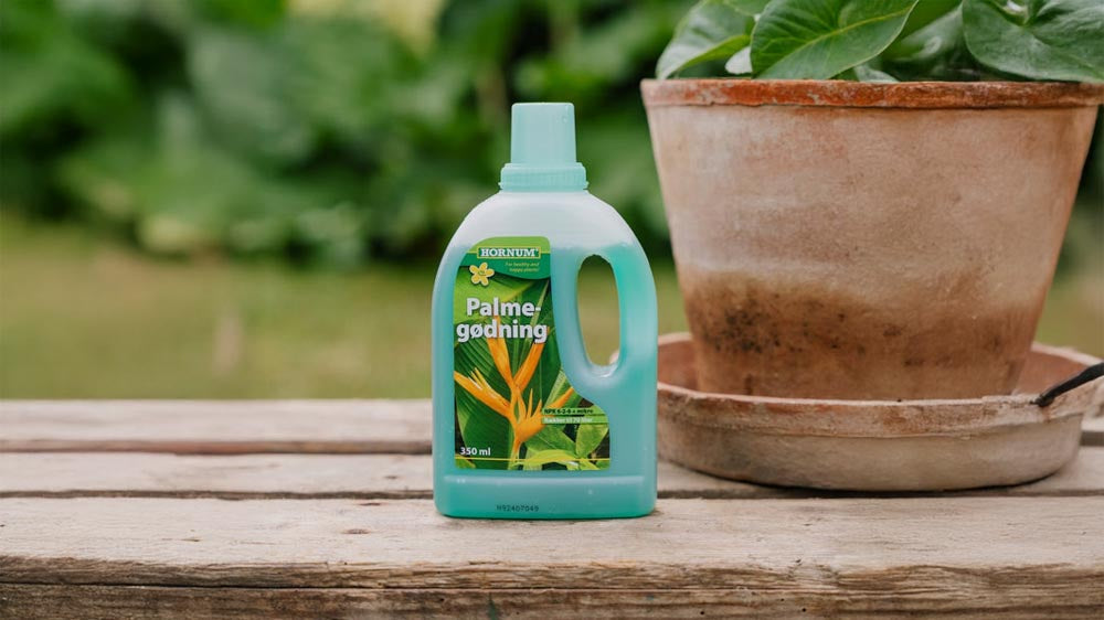 Palmendünger - Blomea.at