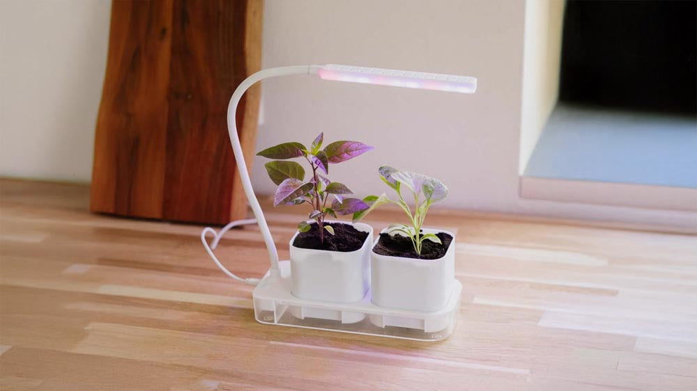 Pflanzenlampen - Blomea.at