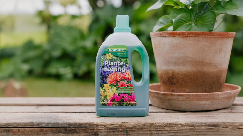 Pflanzennahrung - Blomea.at