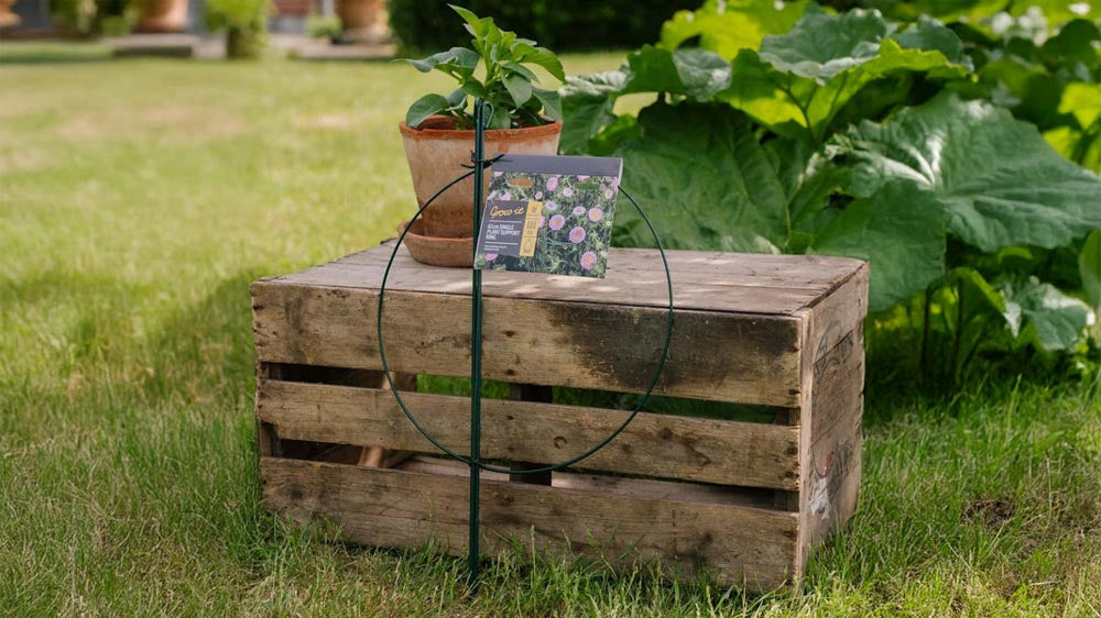 Pflanzenstützen - Blomea.at