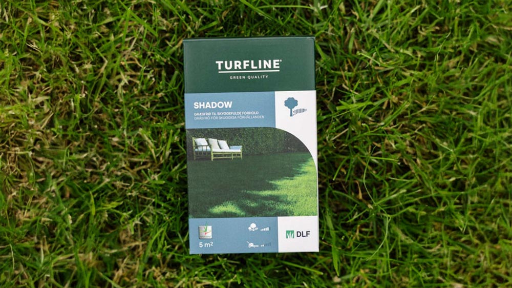 Schattengras - Blomea.at