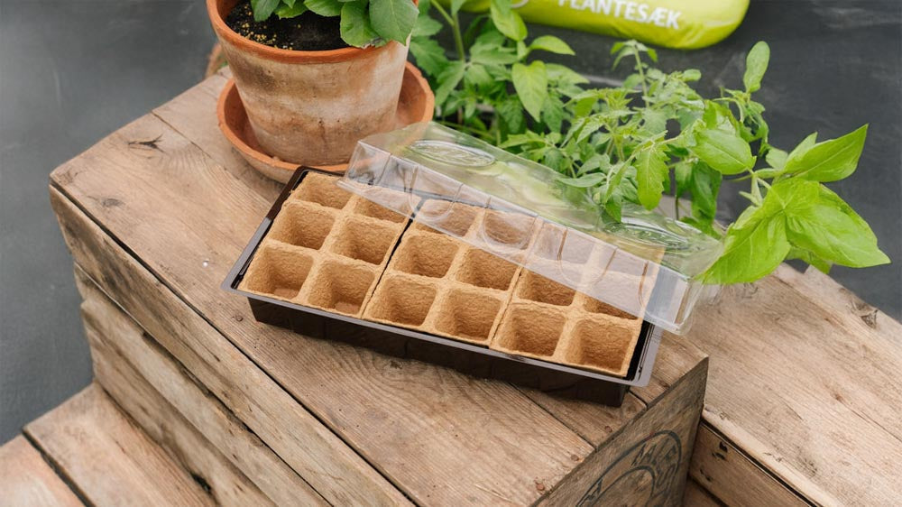 Starterkits - Blomea.at