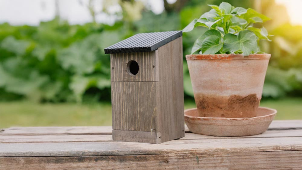 Vogelhäuser - Blomea.at