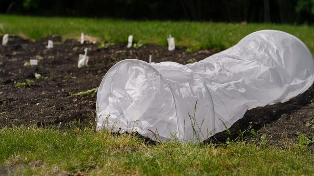 Wachstumstunnel - Blomea.at