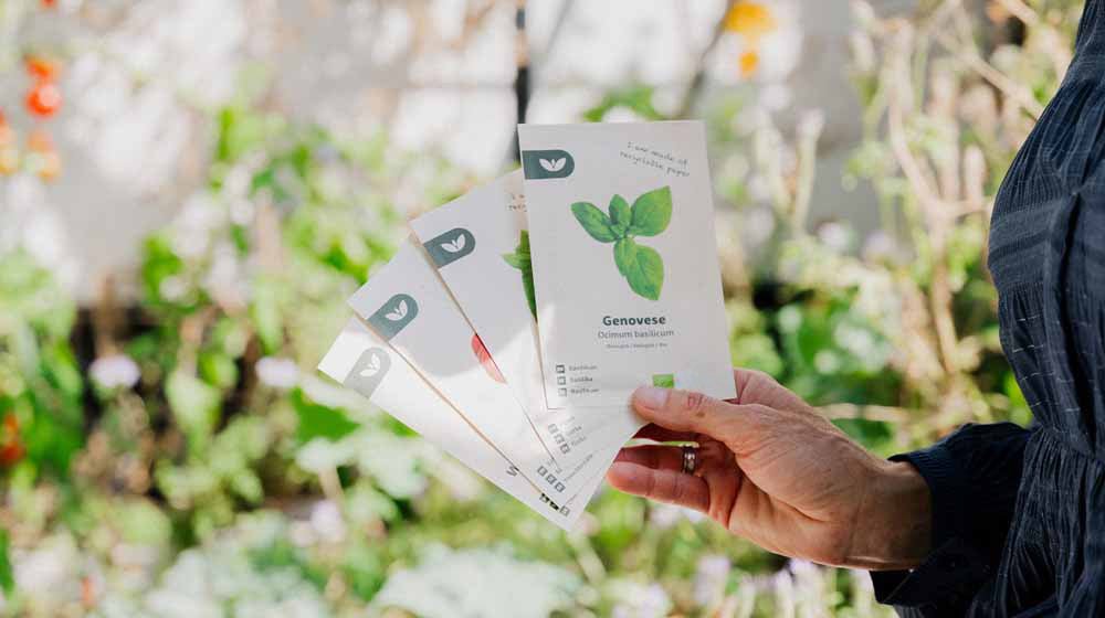 Weihnachtsgeschenke - Blomea.at