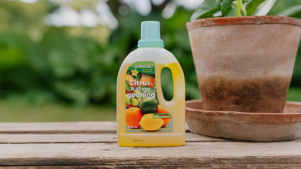 Zitrusdünger - Blomea.at