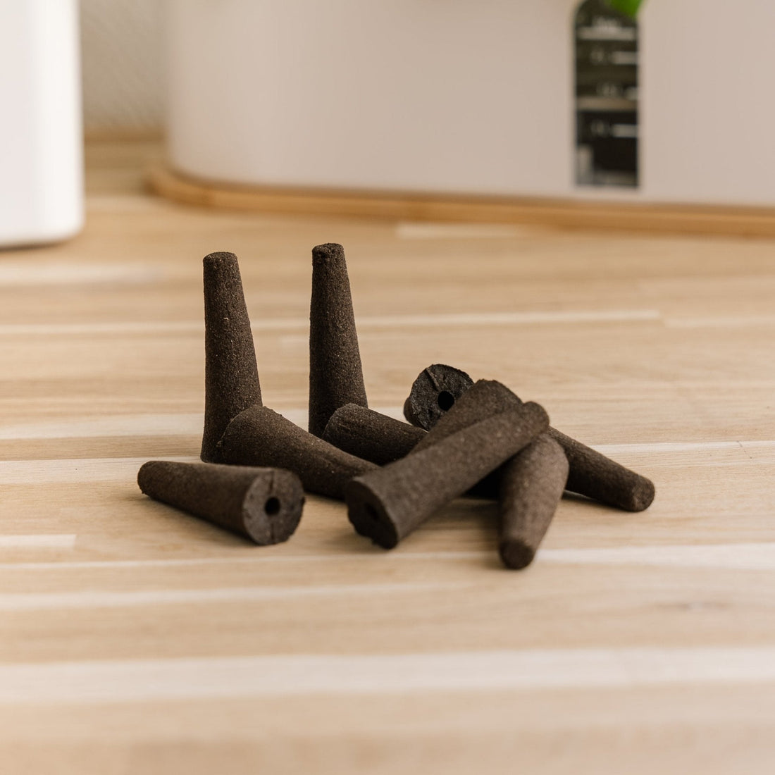 10x Pflanzenpilze für Innenküchengärten