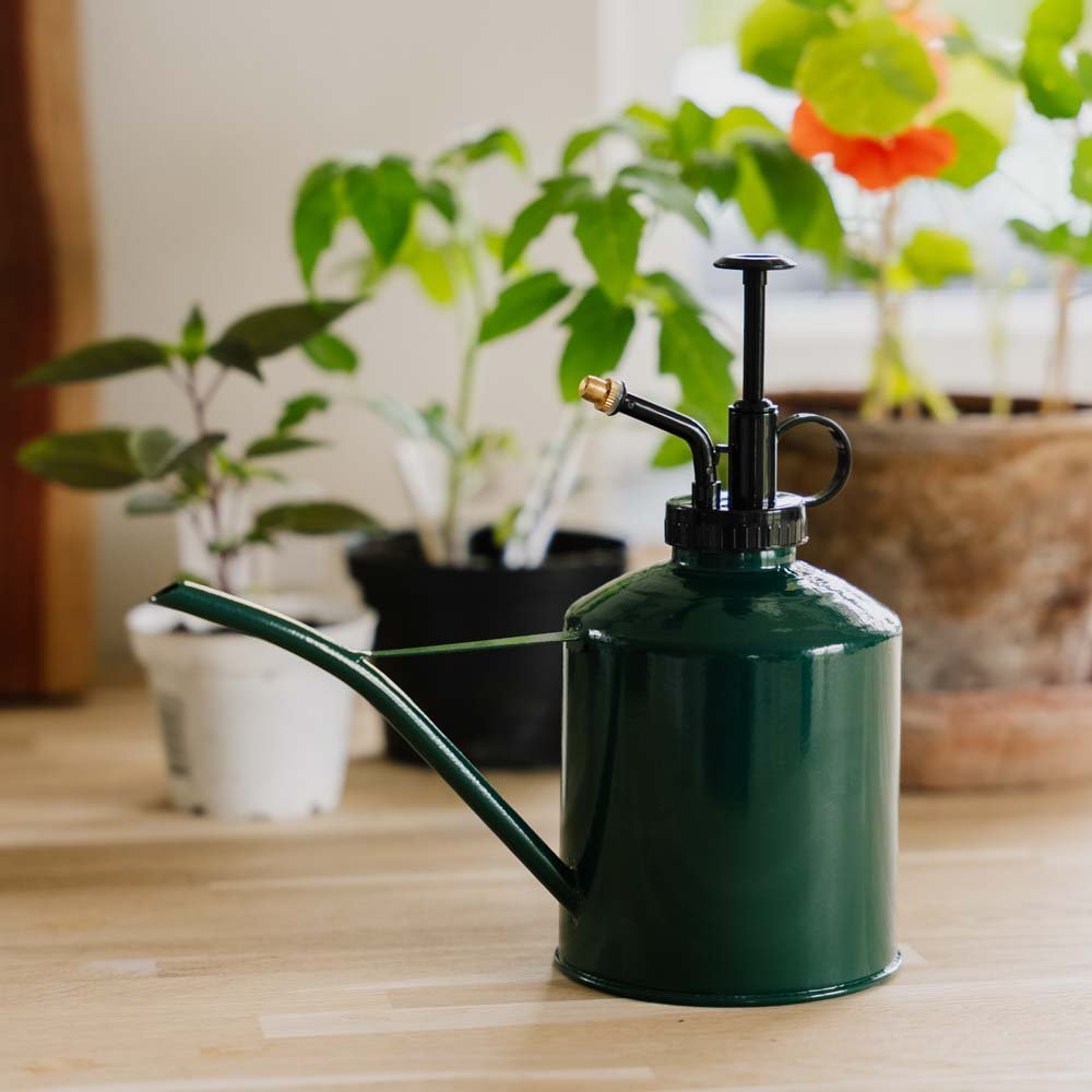 2 i 1 Gießkanne & Zerstäuber, 0,625 L