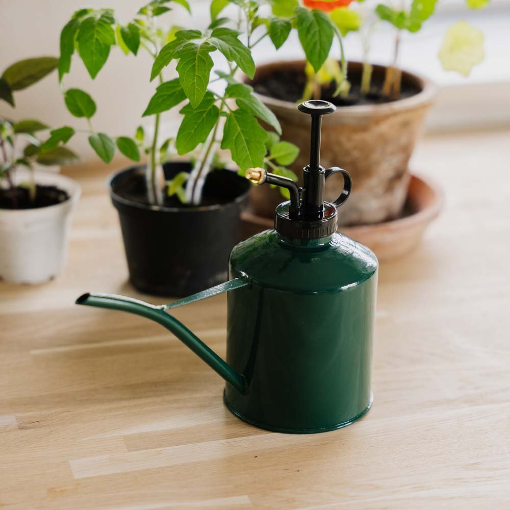 2 i 1 Gießkanne & Zerstäuber, 0,625 L