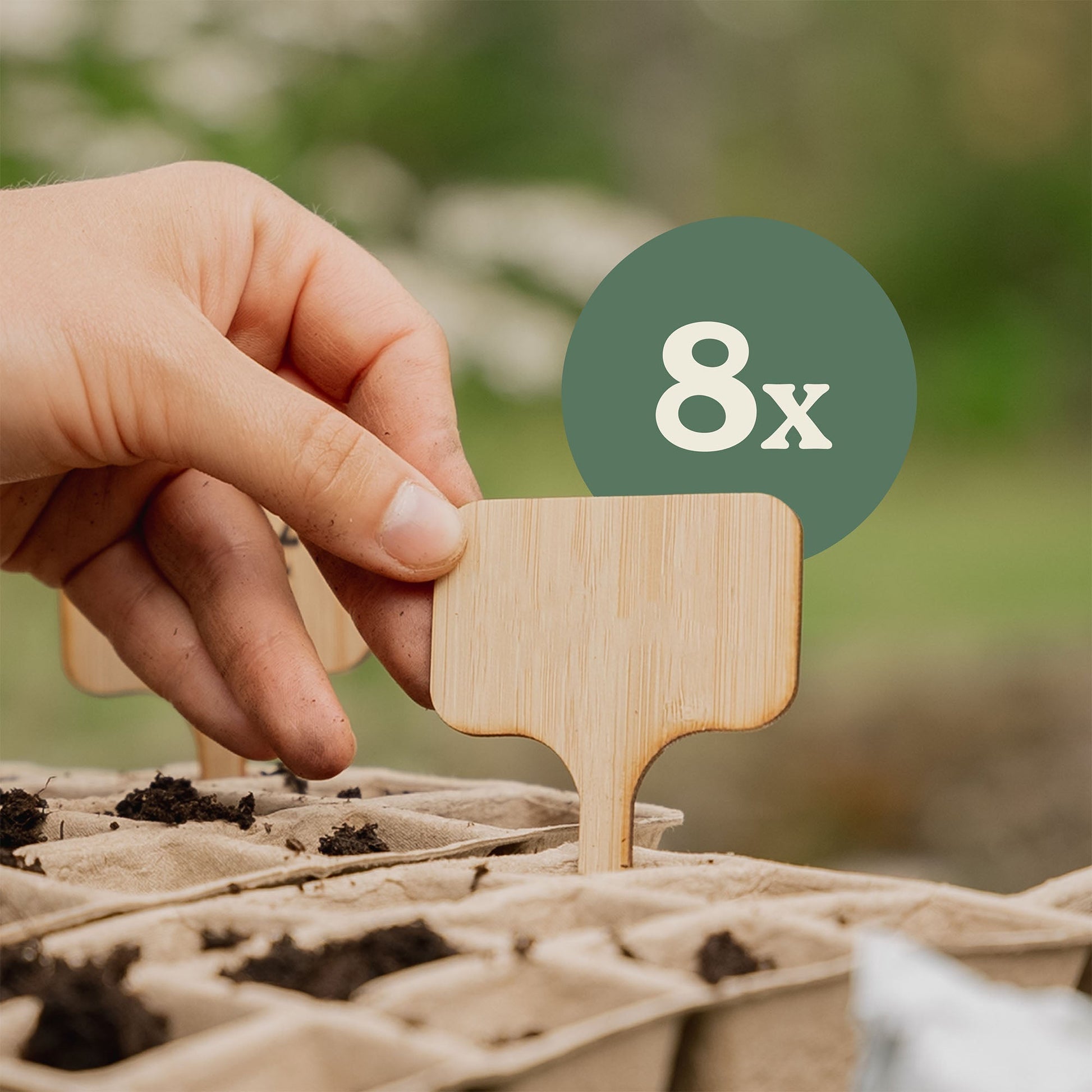 8 Stück Bambus Pflanzenschilder