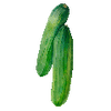 Gemüsesamen