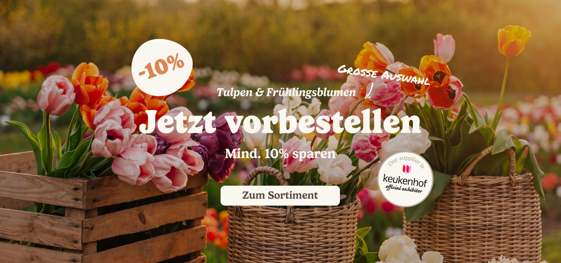 slider image slider_item_BFzA7X