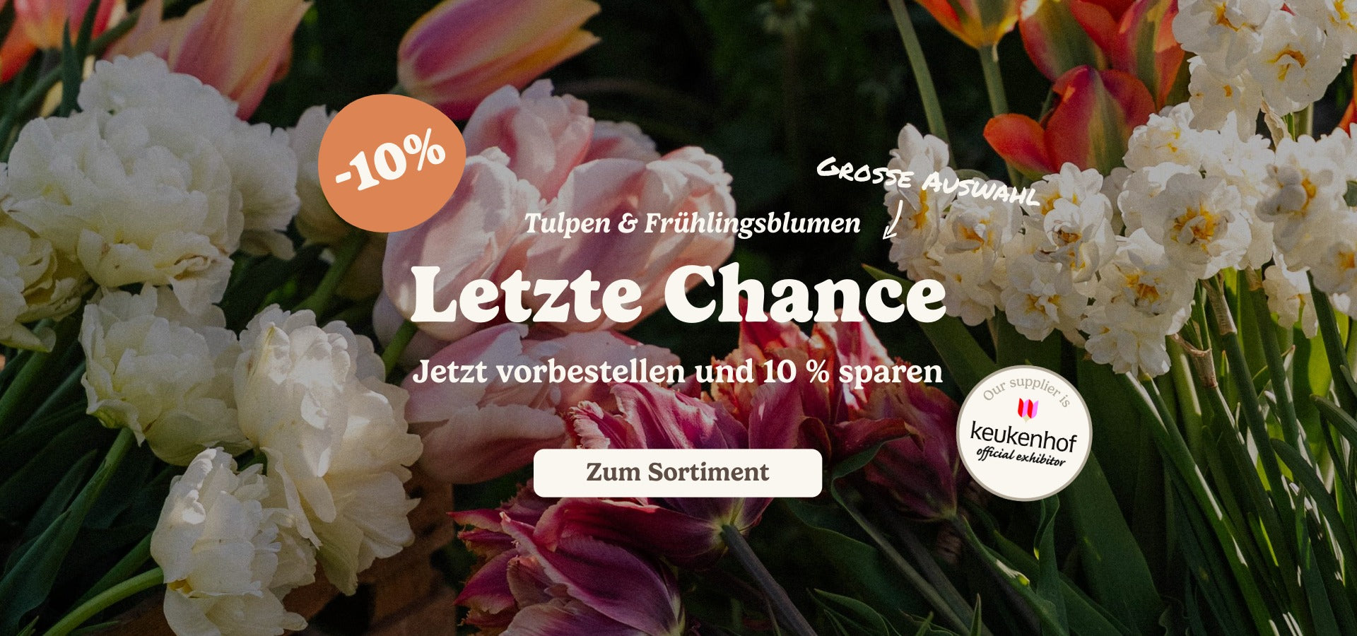 slider image slider_item_BFzA7X