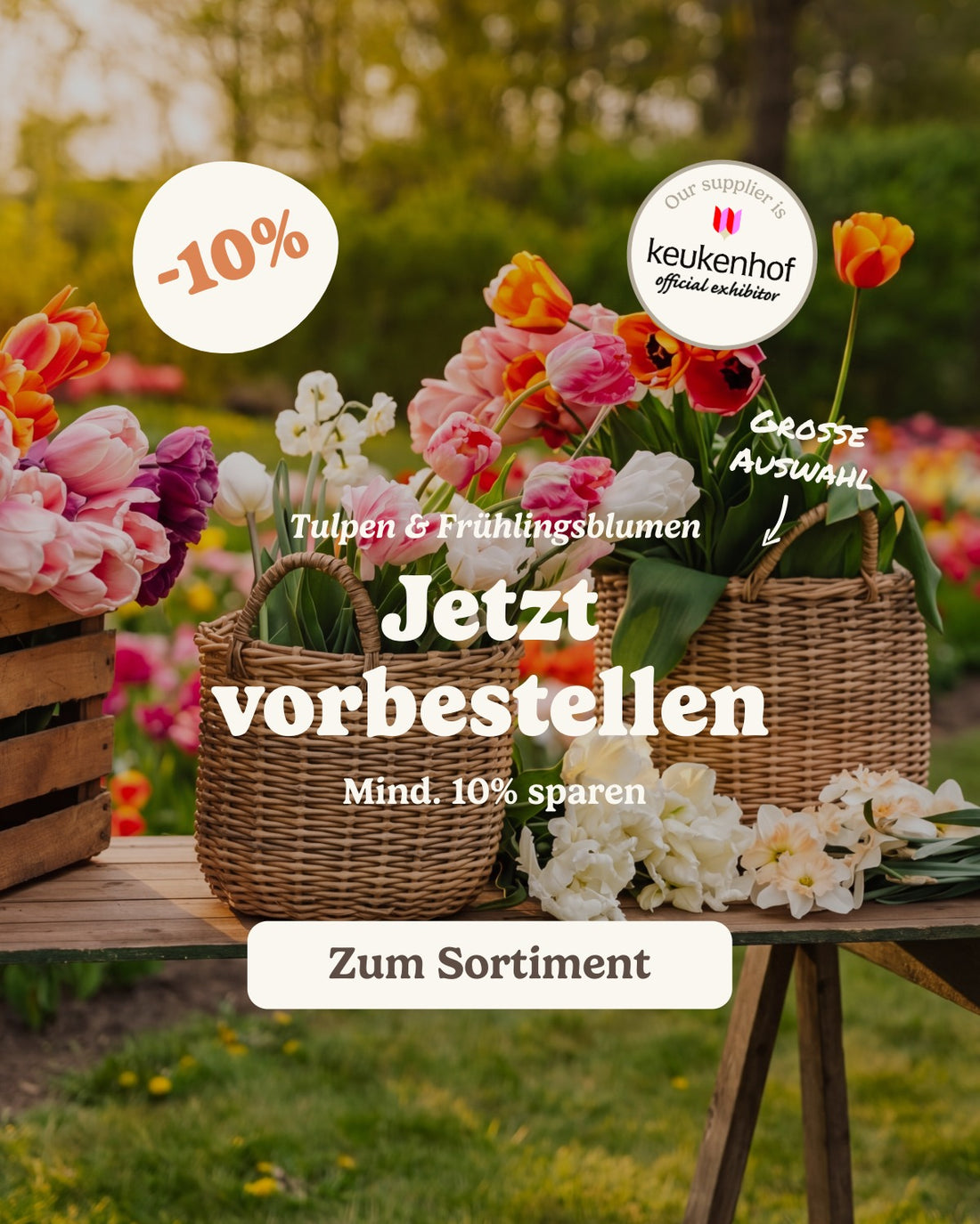 slider image slider_item_BFzA7X