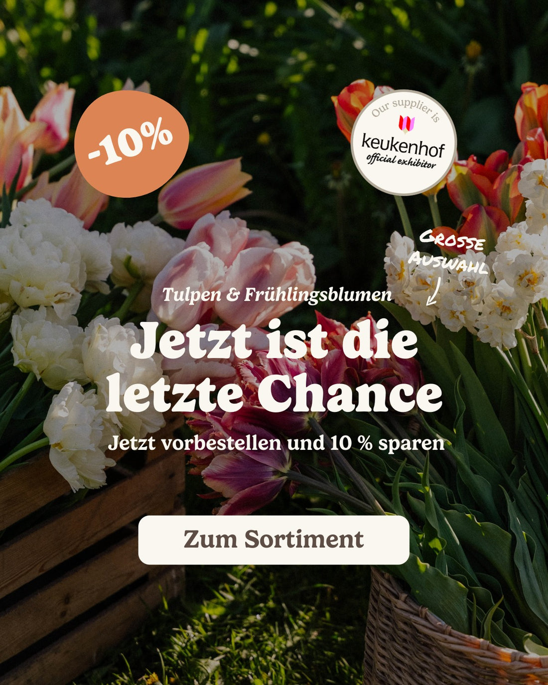 slider image slider_item_BFzA7X