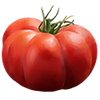 Fleischtomaten Samen