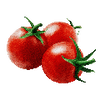 Kirschtomatensamen