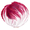 Gemüsesamen