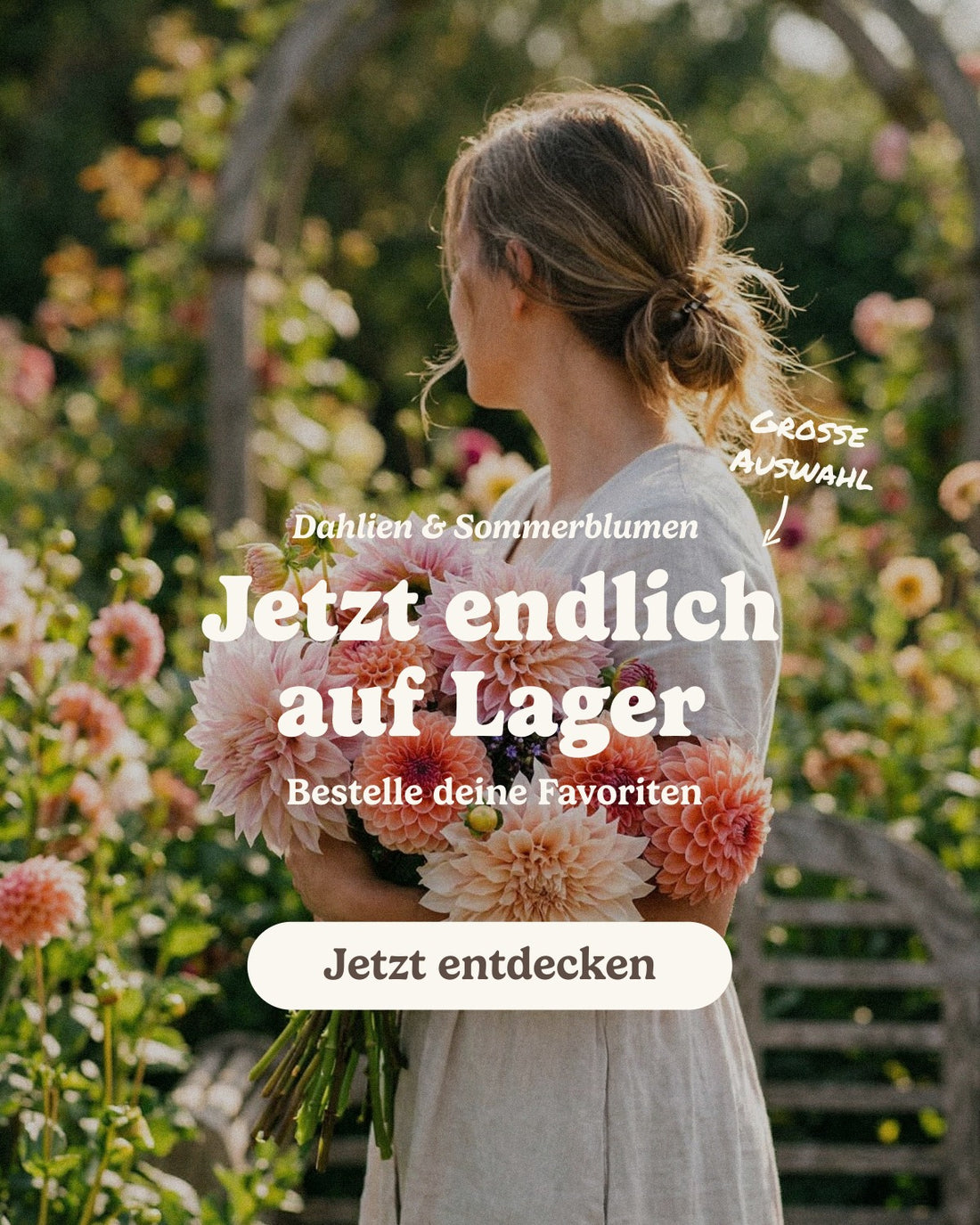 slider image slider_item_j6HeEe