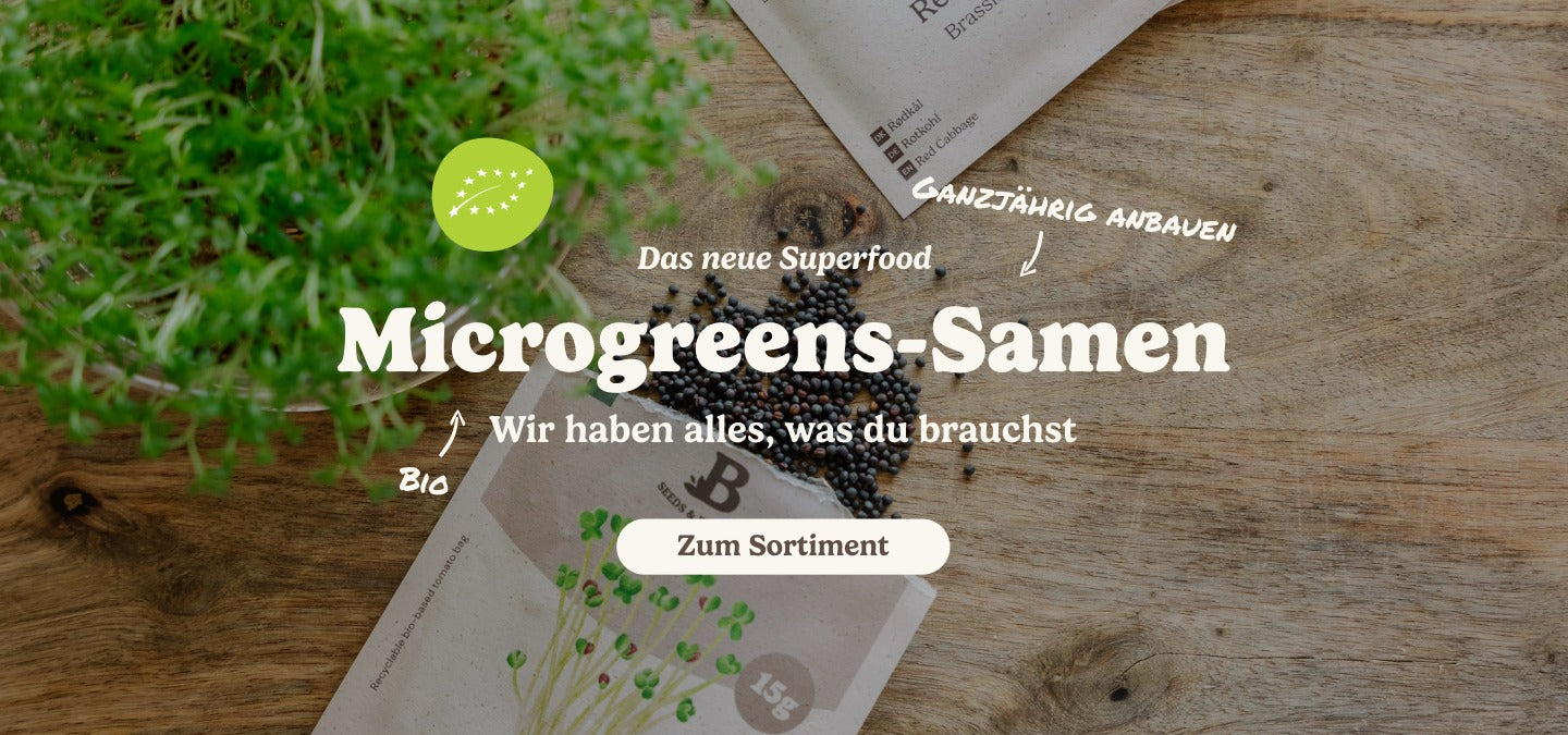 slider image slider_item_MMikcx