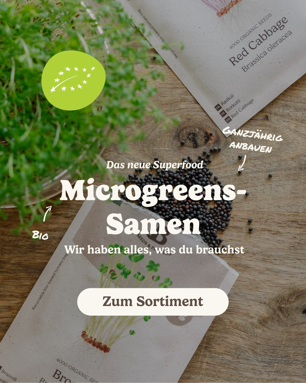 slider image slider_item_MMikcx