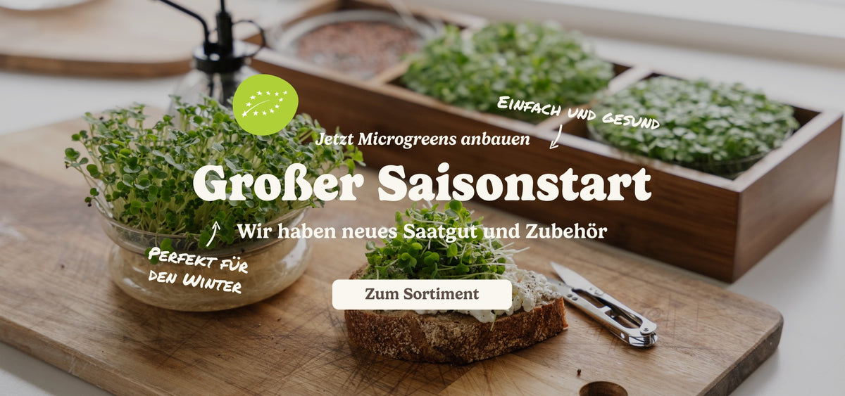 slider image slider_item_MMikcx