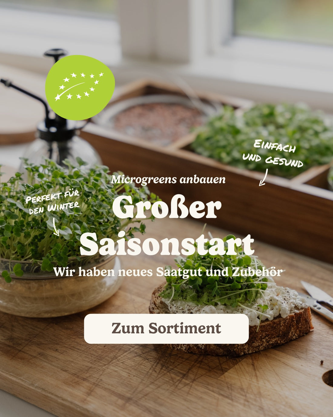 slider image slider_item_MMikcx