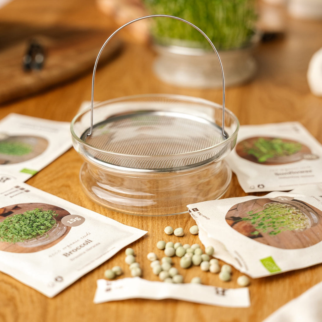 Microgreenbox mit Keimschale - 5 Tüten Biosamen