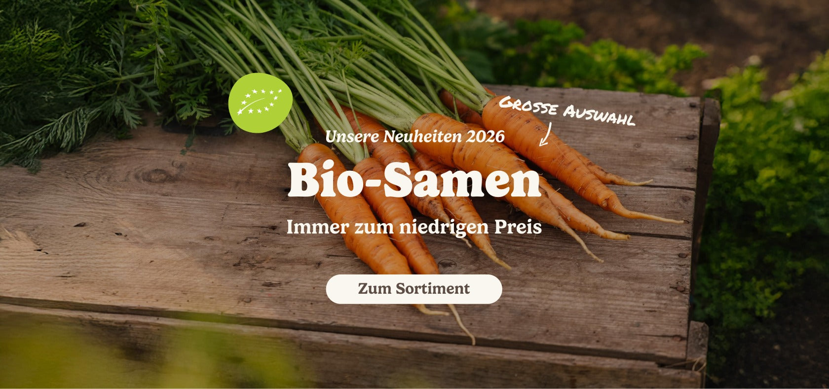 slider image slider_item_TtGKrd