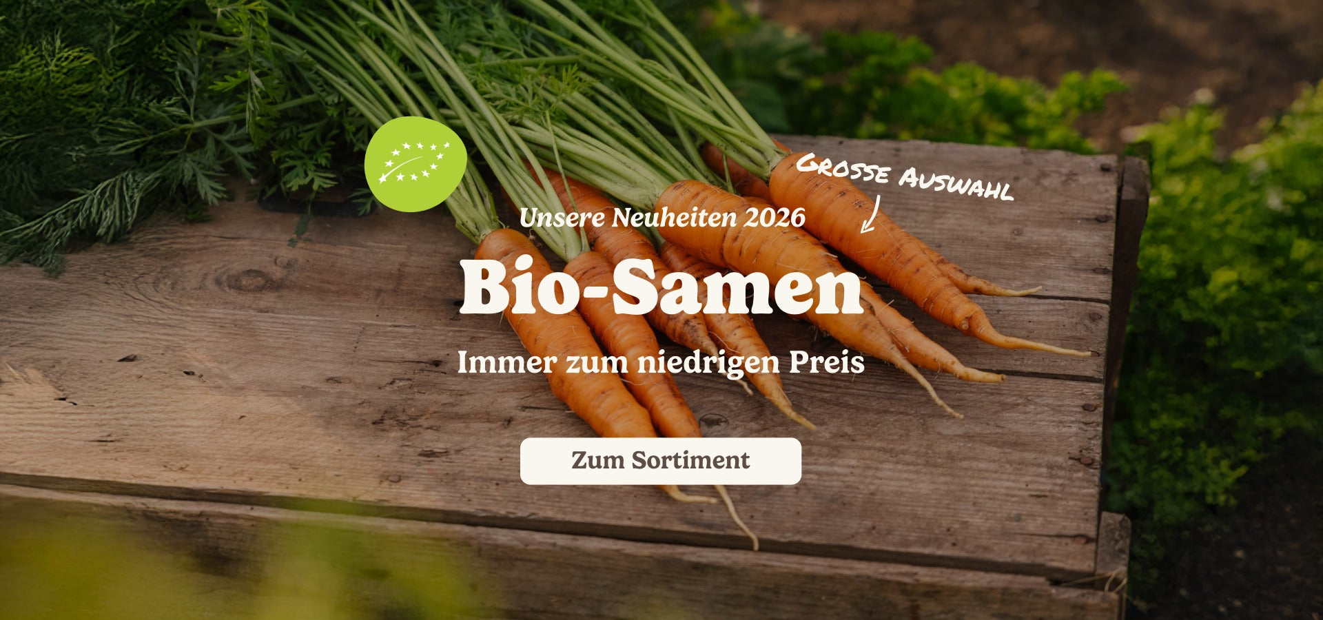 slider image slider_item_TtGKrd