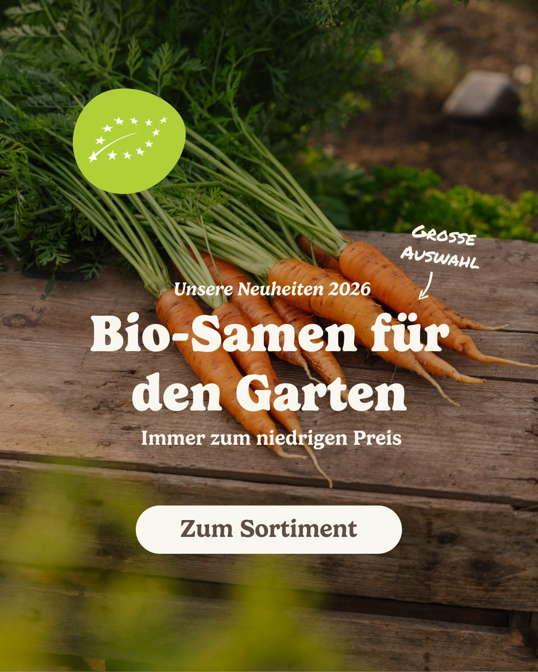 slider image slider_item_TtGKrd