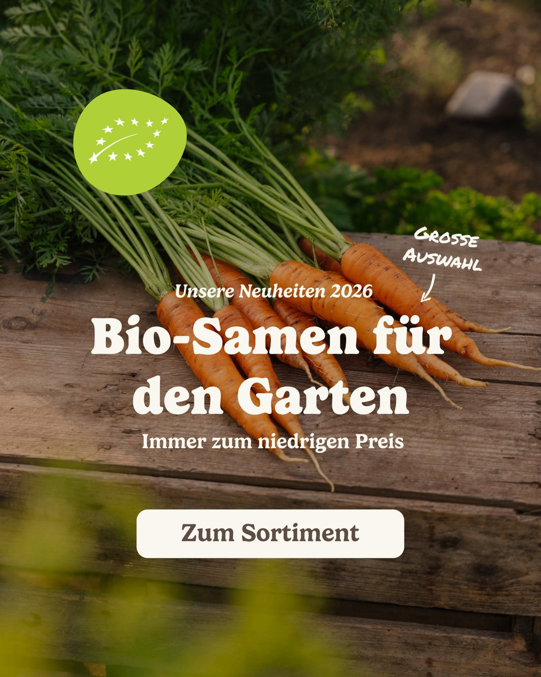 slider image slider_item_TtGKrd