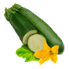 Gemüsesamen