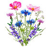 Blumensamen